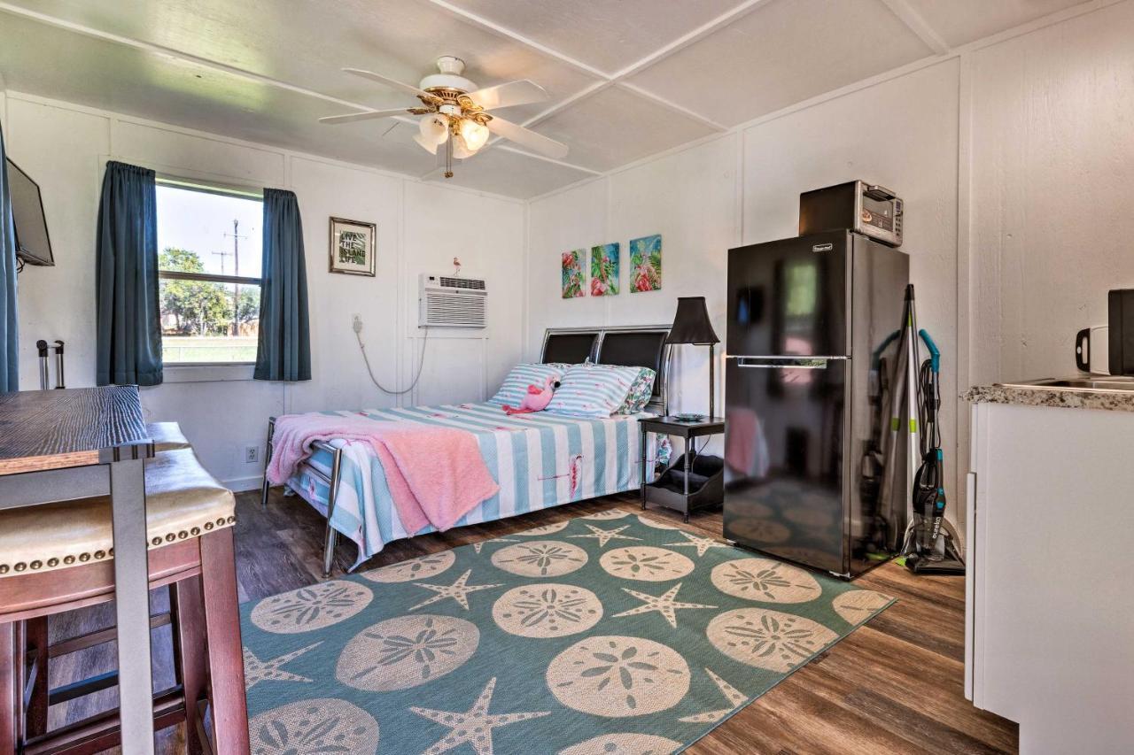 Flirty Flamingo Studio 1 Mi To Canyon Lake Exterior foto